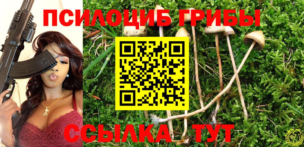Галлюциногенные грибы прущие грибы  Галлюциногенные грибы Psilocybine cubensis  Коркино  Вход с VPN 