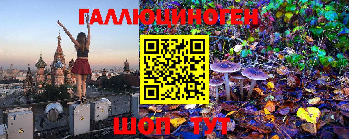 Галлюциногенные грибы Psilocybine cubensis Коркино